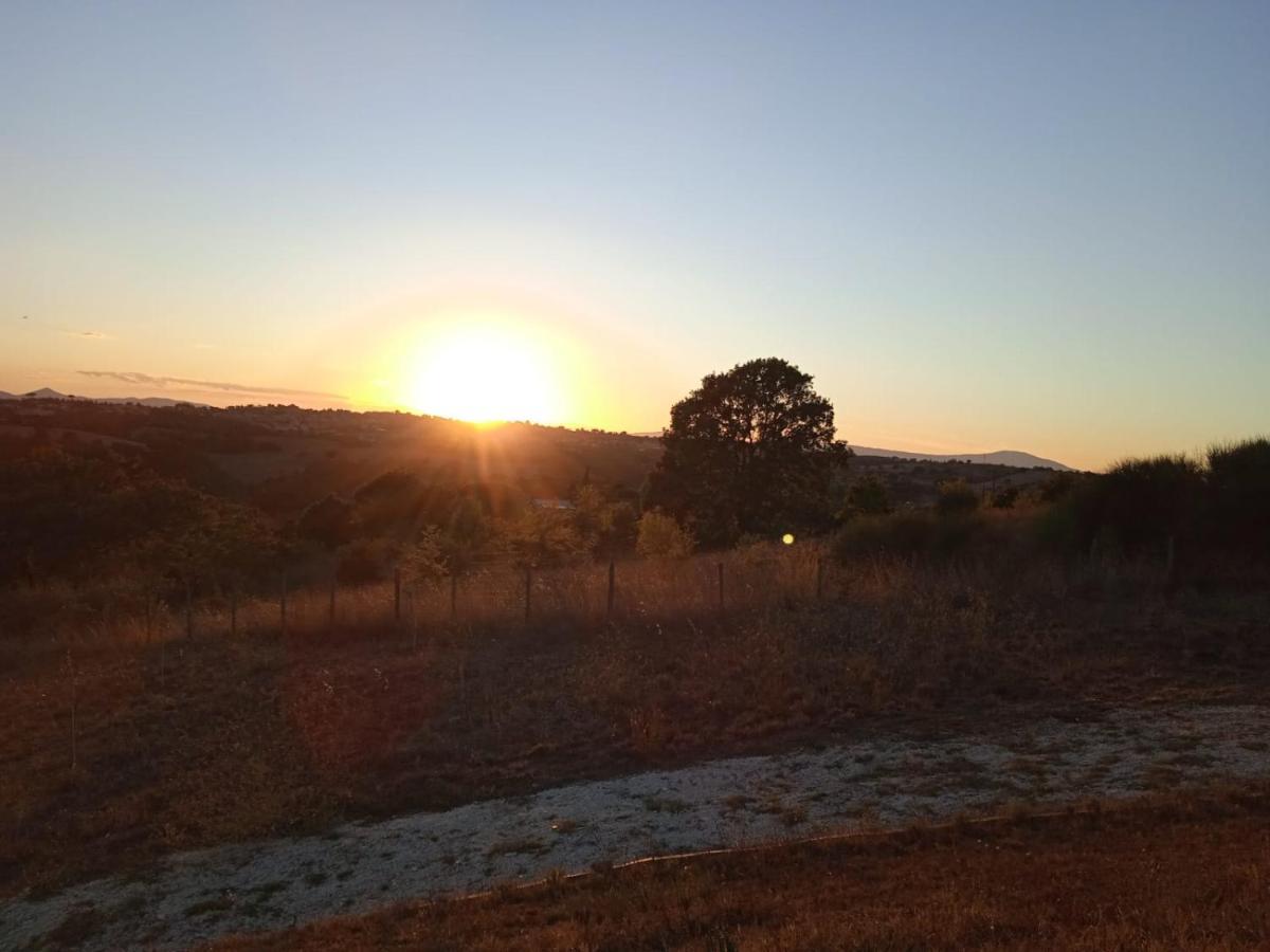 Agriturismo Il Cielo In Terra Sant'Oreste Dış mekan fotoğraf